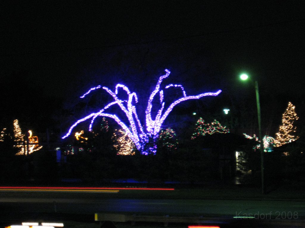 Toledo Zoo Lights 2008 038.jpg - The regular visit to the Toledo Ohio Zoo to see the Christmas Lights displays. New this trip were the "Dancing Lights", displays flashing in time with the Christmas Songs.